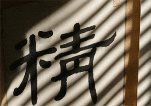 Jing - the essence