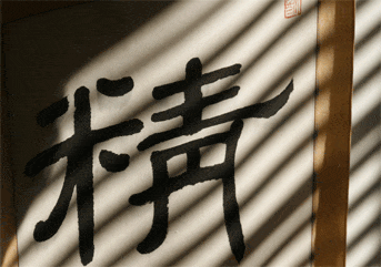 Kidney Jing – The Fertility Essence in Traditional Chinese Medicine 8 Jing - the fertility essence