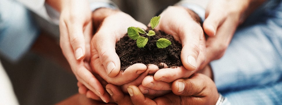Refer Your Patients – Acupuncture & Chinese Medicine Support in Melbourne 1 Nurturing team work at Almond Wellness Centre Acupuncture Melbourne