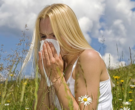 Acupuncture & Chinese Medicine for Hay Fever 1 acupuncture Chinese medicine for Hay fever