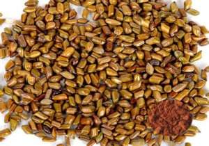 Cassia Seed