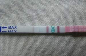 ovulation kit