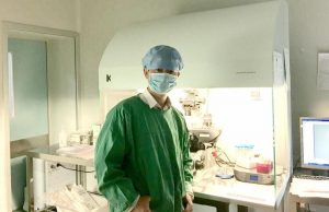 IVF embryos cultivation IVF embryos cultivation