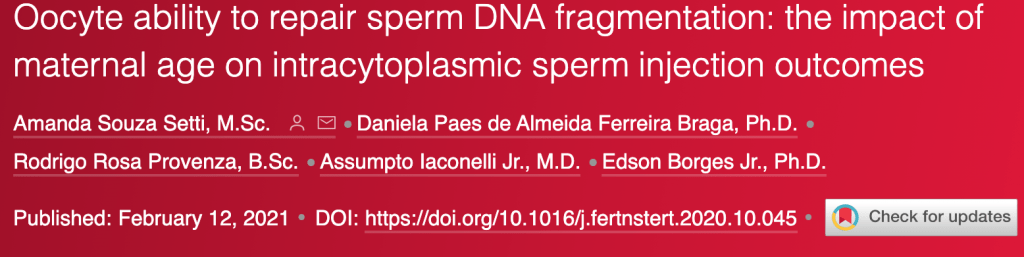 sperm fragmentation ICSI