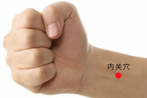 acupuncture point Nei Guan PC6