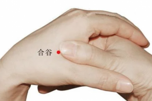 acupuncture point he gu LI4