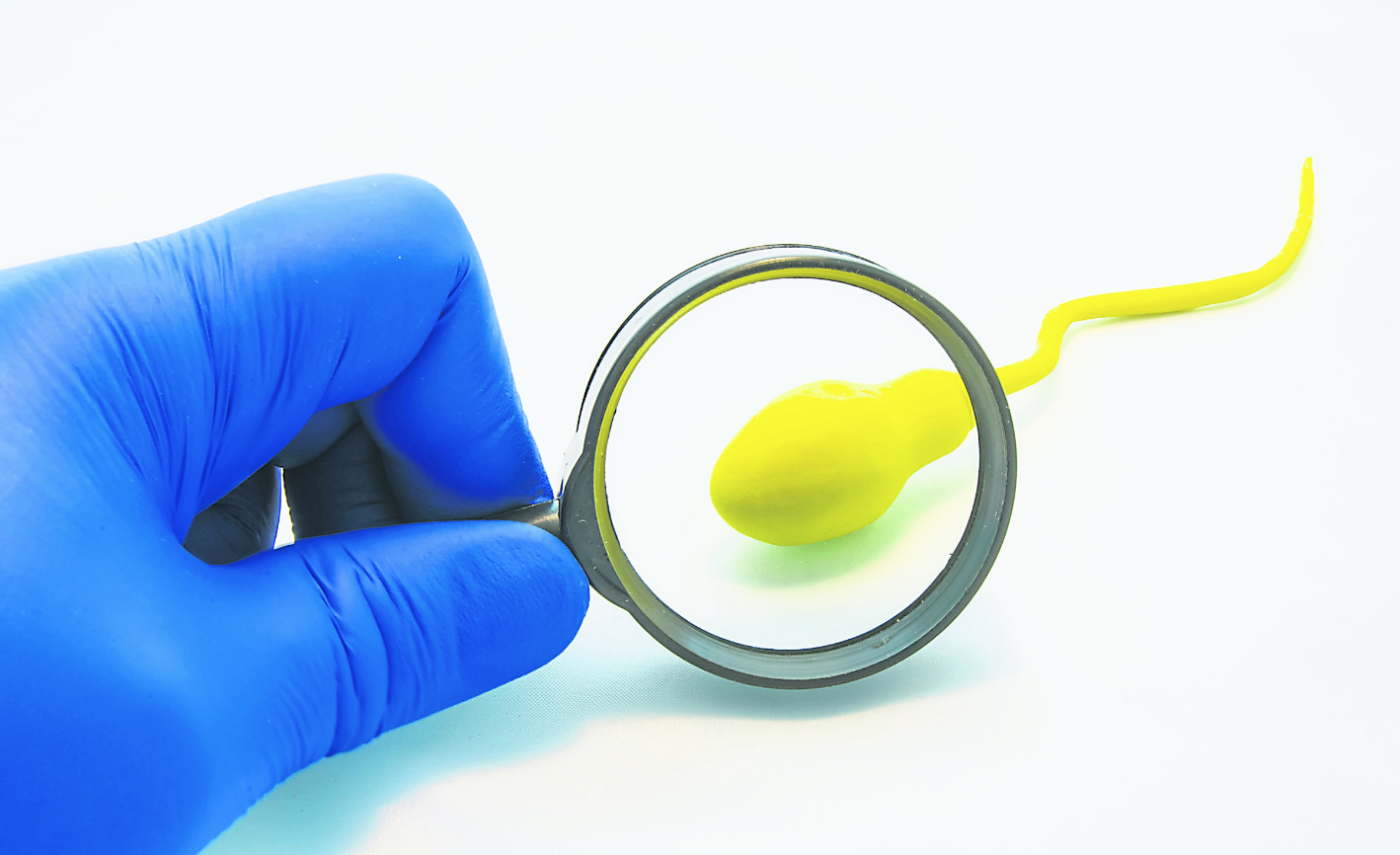 The Overlooked Key to Fertility: Sperm Health 12 check sperm health