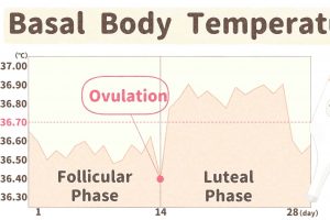 Patient Resources 4 Basal Body Temperature BBT Chart