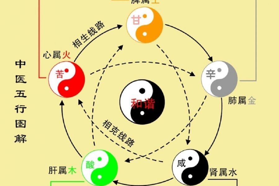 TCM Theory 1 yin yang and five element in TCM theory