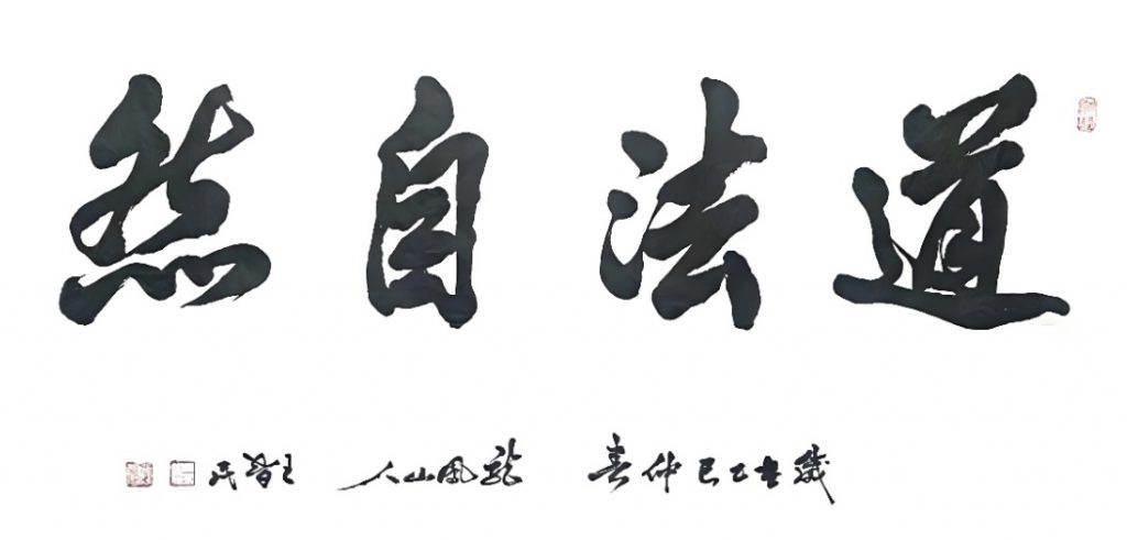 TCM Theory 2 The Way conforms to Nature - Dao Fa Zi Ran