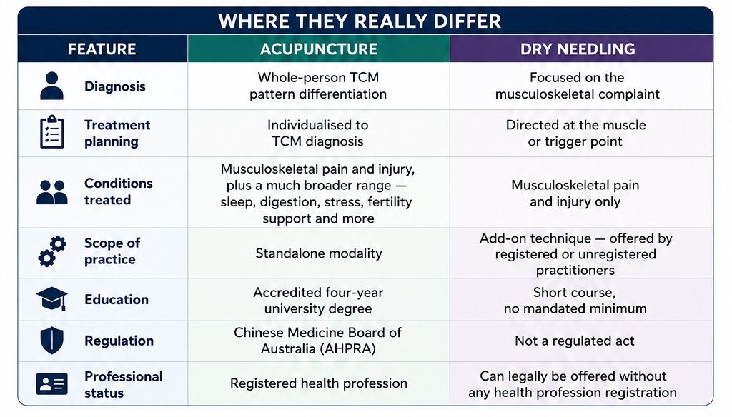 Dry Needling vs Acupuncture in Australia: What's the Difference (and Why Did Patients Only Start Asking After 2012?) 1 difference of dry needling and acupuncture