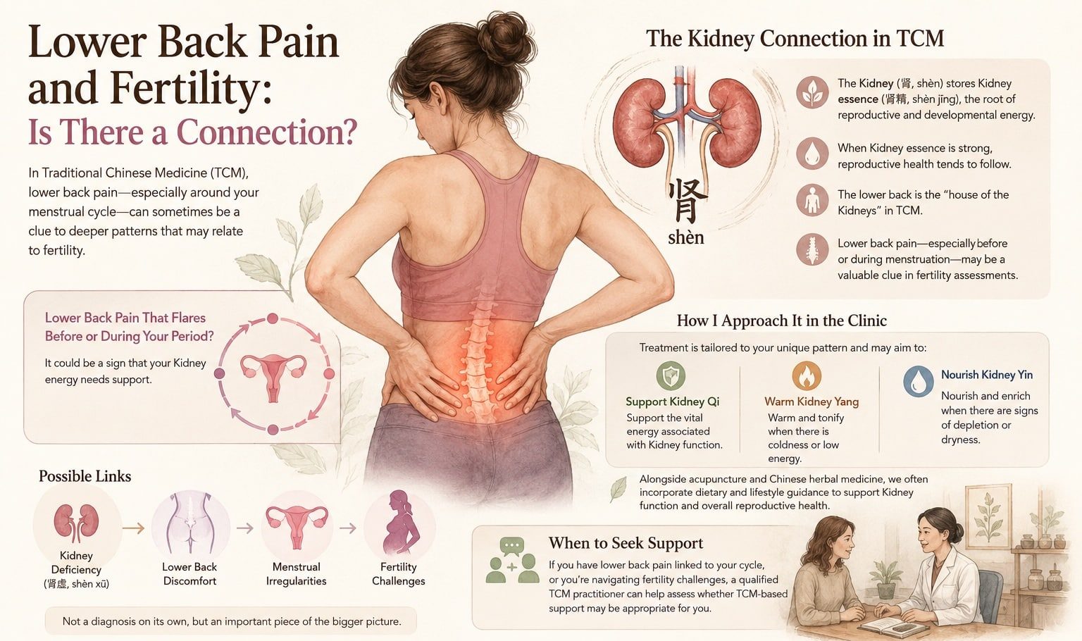 Lower Back Pain and Fertility: Is There a Connection? 1 connection of lower back pain and fertility in TCM