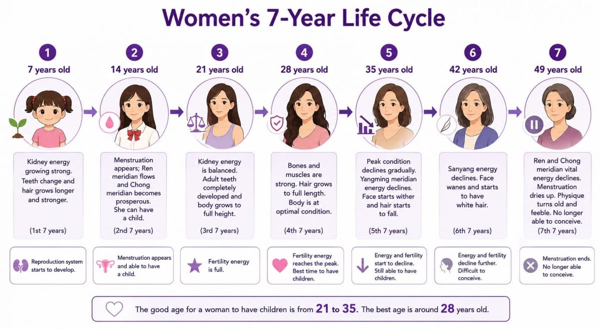Women's 7-Year Life Cycle 6 women's 7-year-life cycle in Traditional Chinese Medicine TCM