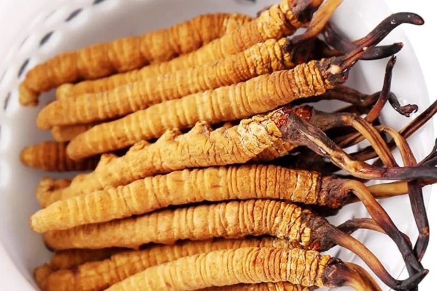 8 Chinese Herbs Traditionally Used for Libido and Sexual Function 3 Chinese herb Cordyceps